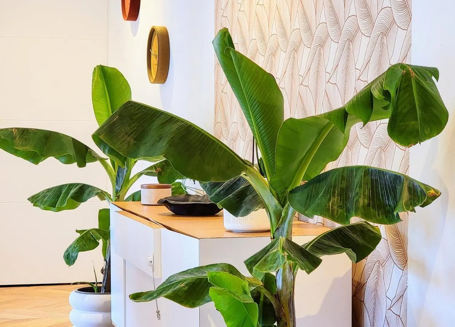 Luxury Flat With Balcony Near Arc De Triomphe Διαμέρισμα Παρίσι